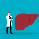 liver-6685574_640