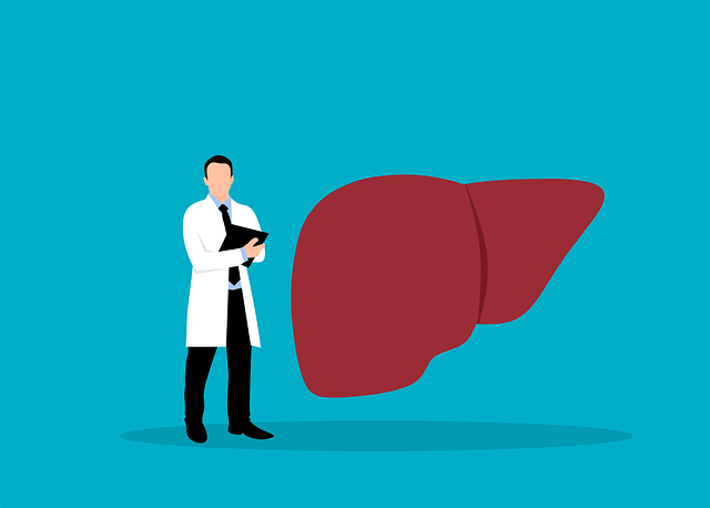 liver-6685574_640